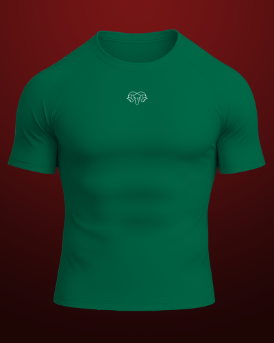 Half Sleeve Compression T-Shirt (Green)